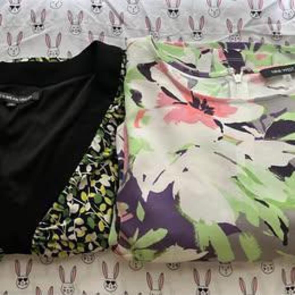 Set of 2 plus size dresses